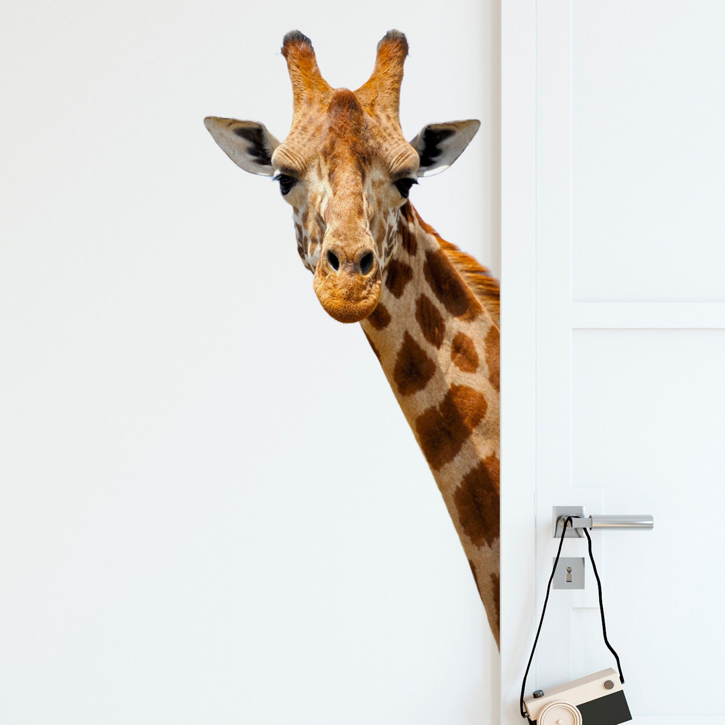 Giraffe Head Wall Sticker for Kids from restowrap